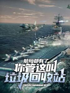 We Have Aircraft Carriers, And You Call This A Recycling Station